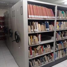 mobile shelving shela pic 2