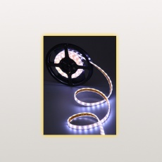 strip light strip light