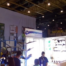 WORLDBEX 2017 13 WORLDBEX 2017 13